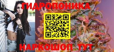jwh Лесосибирск